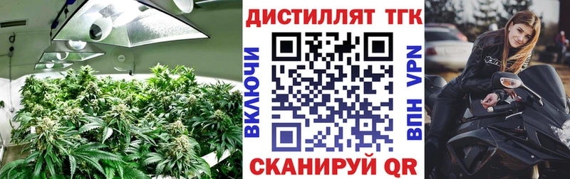 купить Омутнинск ТГК THC oil
